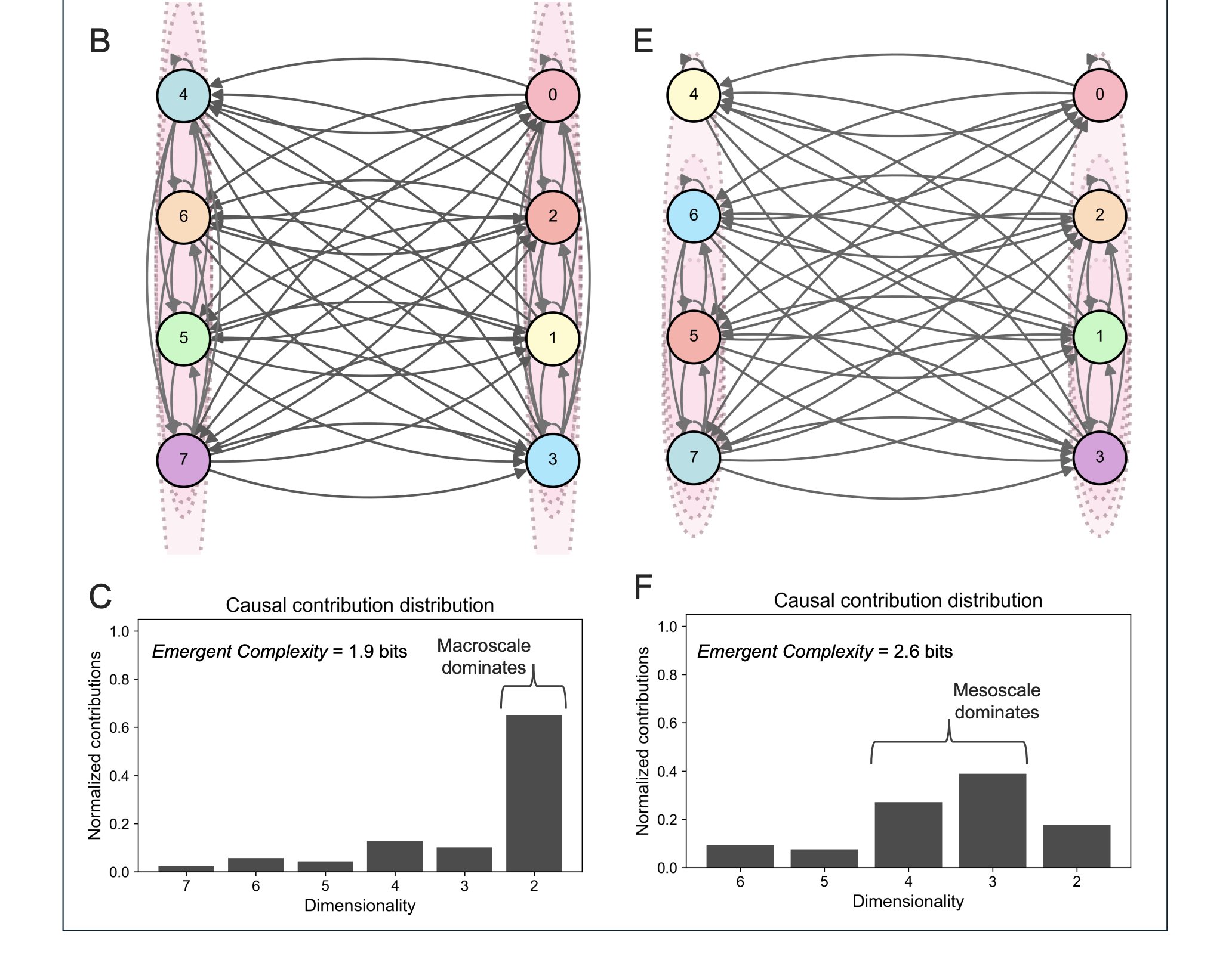 Diagram with panels B, C, E, and F.
Panel B: densely connected directed network. Left column nodes, top to bottom: 4, 6, 5, 7. Right column nodes, top to bottom: 0, 2, 1, 3. Pink shaded, dotted vertical regions group each node column.
Panel C: Causal contribution distribution. Emergent Complexity = 1.9 bits. A bracket at dimensionality 2 is labeled “Macroscale dominates.” Y-axis: Normalized contributions; ticks top to bottom: 1.0, 0.8, 0.6, 0.4, 0.2, 0.0. X-axis: Dimensionality; ticks: 7, 6, 5, 4, 3, 2.
Panel E: densely connected directed network. Left column nodes, top to bottom: 4, 6, 5, 7. Right column nodes, top to bottom: 0, 2, 1, 3. Pink shaded, dotted regions partition each side into a singleton top node (left: 4; right: 0) and a grouped lower trio (left: 6, 5, 7; right: 2, 1, 3).
Panel F: Causal contribution distribution. Emergent Complexity = 2.6 bits. A bracket spanning dimensionalities 4 and 3 is labeled “Mesoscale dominates.” Y-axis: Normalized contributions; ticks top to bottom: 1.0, 0.8, 0.6, 0.4, 0.2, 0.0. X-axis: Dimensionality; ticks: 6, 5, 4, 3, 2.